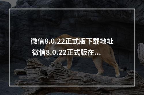 微信8.0.22正式版下载地址 微信8.0.22正式版在哪下载