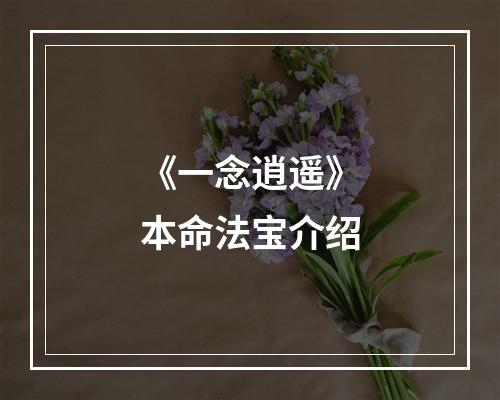 《一念逍遥》本命法宝介绍