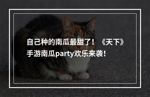 自己种的南瓜最甜了！《天下》手游南瓜party欢乐来袭！