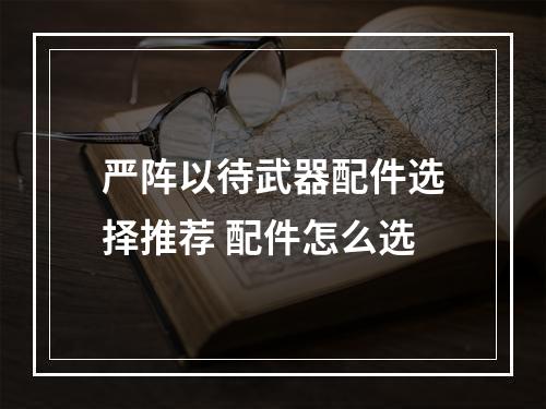 严阵以待武器配件选择推荐 配件怎么选