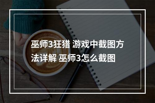 巫师3狂猎 游戏中截图方法详解 巫师3怎么截图