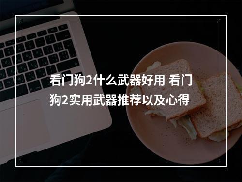 看门狗2什么武器好用 看门狗2实用武器推荐以及心得