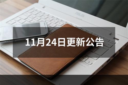 11月24日更新公告