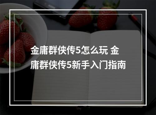 金庸群侠传5怎么玩 金庸群侠传5新手入门指南