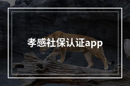 孝感社保认证app