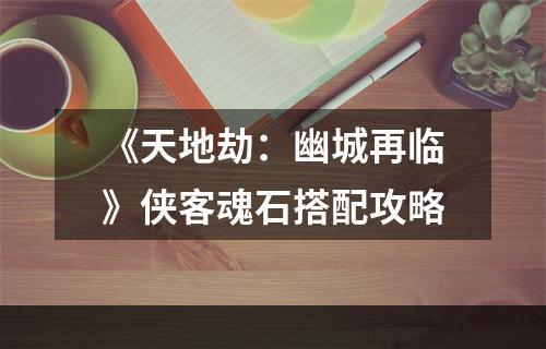 《天地劫：幽城再临》侠客魂石搭配攻略