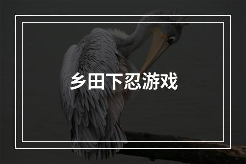 乡田下忍游戏