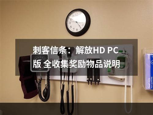 刺客信条：解放HD PC版 全收集奖励物品说明