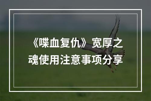 《喋血复仇》宽厚之魂使用注意事项分享