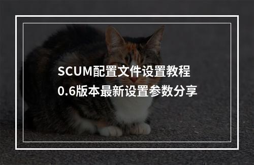 SCUM配置文件设置教程 0.6版本最新设置参数分享