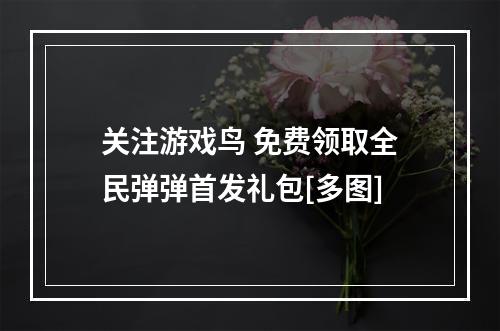 关注游戏鸟 免费领取全民弹弹首发礼包[多图]