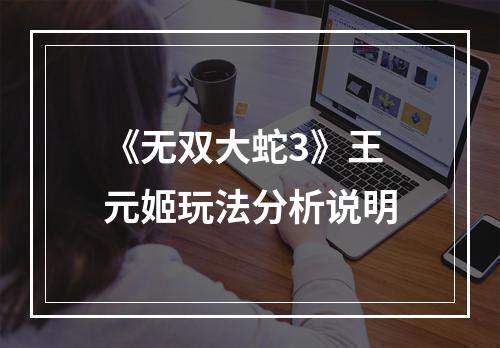 《无双大蛇3》王元姬玩法分析说明