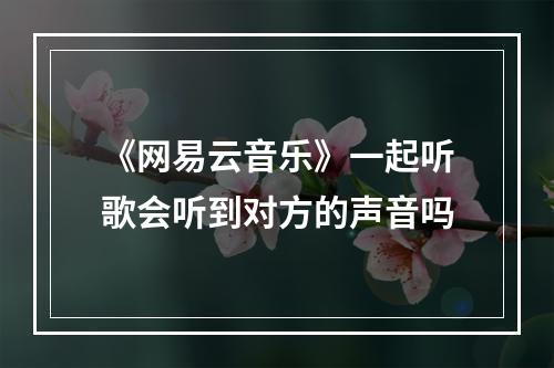 《网易云音乐》一起听歌会听到对方的声音吗