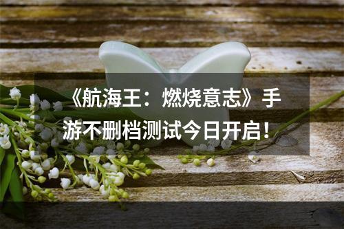 《航海王：燃烧意志》手游不删档测试今日开启！