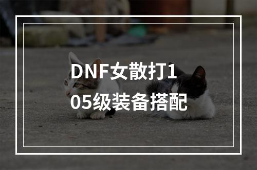 DNF女散打105级装备搭配