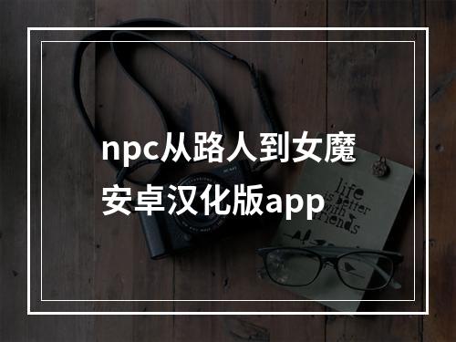 npc从路人到女魔安卓汉化版app