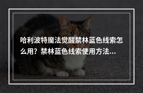 哈利波特魔法觉醒禁林蓝色线索怎么用？禁林蓝色线索使用方法[多图]