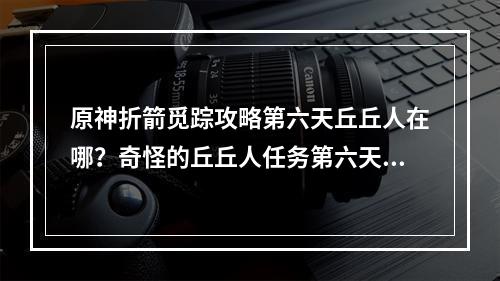 原神折箭觅踪攻略第六天丘丘人在哪？奇怪的丘丘人任务第六天攻略[多图]