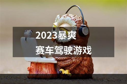 2023暴爽赛车驾驶游戏