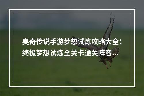 奥奇传说手游梦想试炼攻略大全：终极梦想试炼全关卡通关阵容攻略[多图]