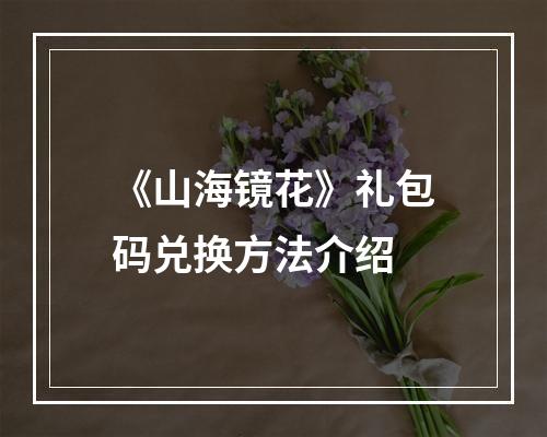 《山海镜花》礼包码兑换方法介绍