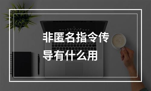 非匿名指令传导有什么用