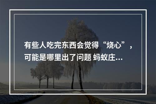 有些人吃完东西会觉得“烧心”，可能是哪里出了问题 蚂蚁庄园今日答案早知道5月2日