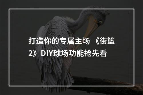 打造你的专属主场 《街篮2》DIY球场功能抢先看