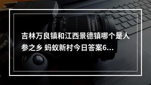 吉林万良镇和江西景德镇哪个是人参之乡 蚂蚁新村今日答案6.7