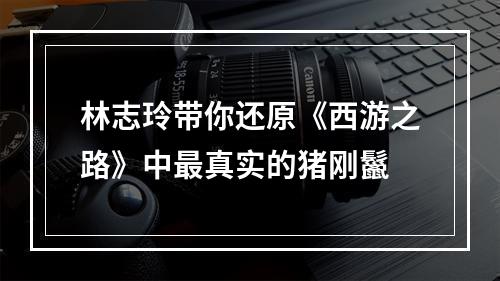 林志玲带你还原《西游之路》中最真实的猪刚鬣