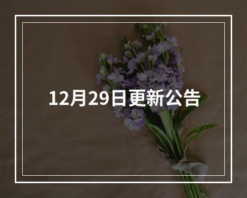 12月29日更新公告