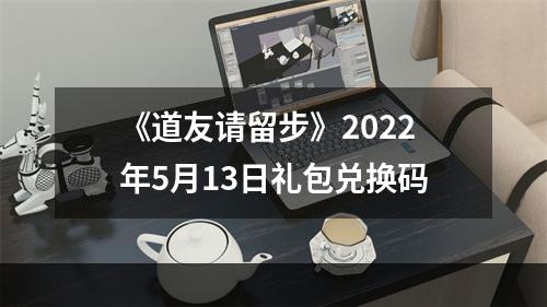 《道友请留步》2022年5月13日礼包兑换码