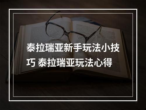 泰拉瑞亚新手玩法小技巧 泰拉瑞亚玩法心得