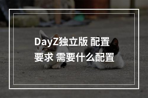 DayZ独立版 配置要求 需要什么配置