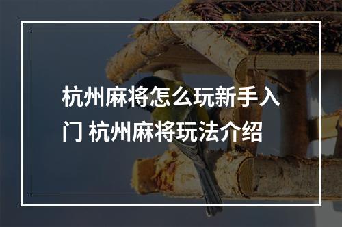 杭州麻将怎么玩新手入门 杭州麻将玩法介绍