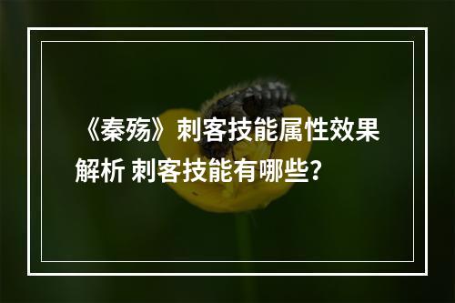 《秦殇》刺客技能属性效果解析 刺客技能有哪些？