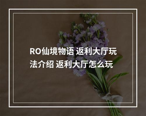 RO仙境物语 返利大厅玩法介绍 返利大厅怎么玩