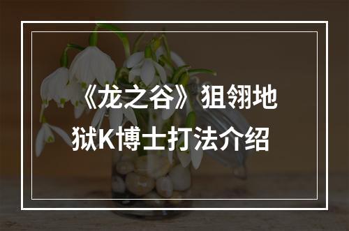 《龙之谷》狙翎地狱K博士打法介绍