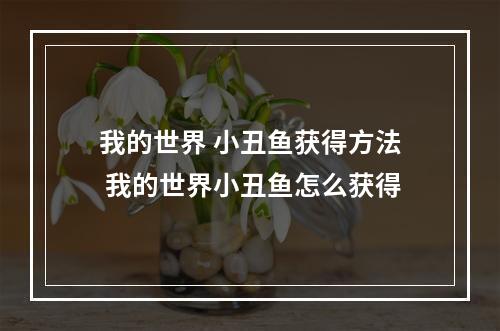 我的世界 小丑鱼获得方法 我的世界小丑鱼怎么获得