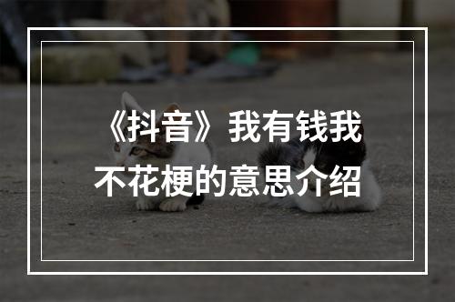 《抖音》我有钱我不花梗的意思介绍