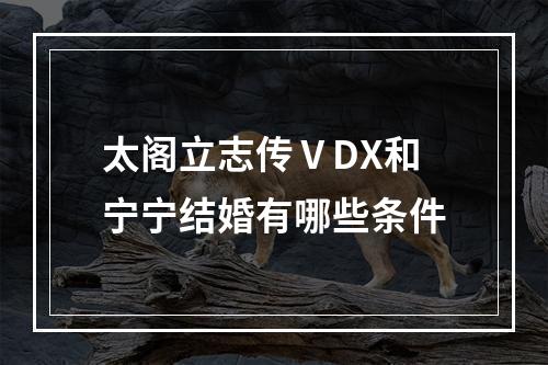 太阁立志传ⅤDX和宁宁结婚有哪些条件