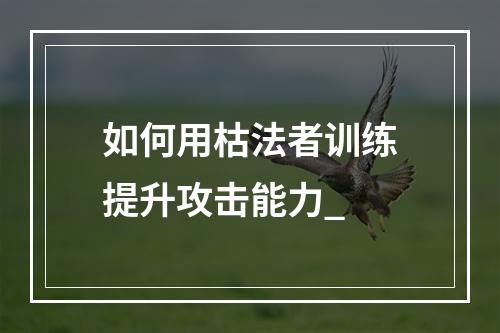 如何用枯法者训练提升攻击能力_