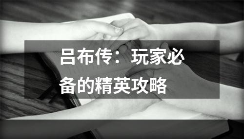 吕布传：玩家必备的精英攻略