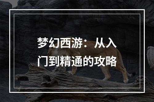 梦幻西游：从入门到精通的攻略