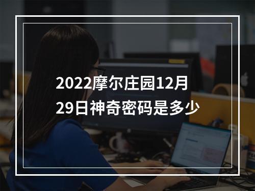 2022摩尔庄园12月29日神奇密码是多少