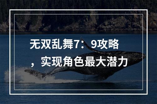 无双乱舞7：9攻略，实现角色最大潜力