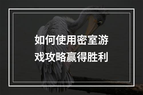 如何使用密室游戏攻略赢得胜利