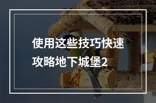 使用这些技巧快速攻略地下城堡2