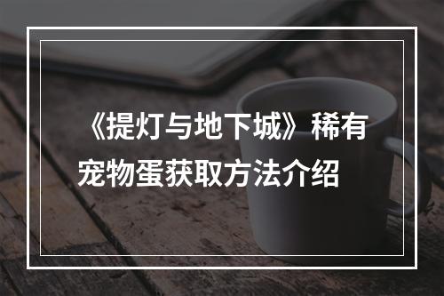 《提灯与地下城》稀有宠物蛋获取方法介绍