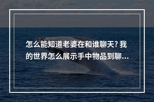 怎么能知道老婆在和谁聊天? 我的世界怎么展示手中物品到聊天攻略详情